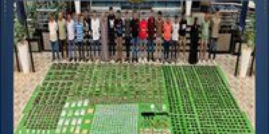 بـ119 مليون جنيه.. الداخلية: مصرع 4 عناصر شديدة الخطورة وضبط طن مخدرات و21 سلاحًا في حملة أمنية بالأقصر -  أقرأ 24