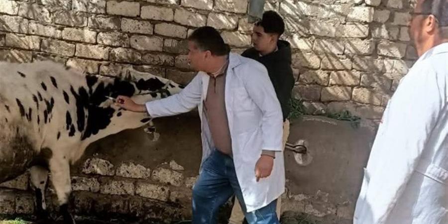 دعم الأمن الغذائي وتكثيف جهود التوعية والوقاية البيطرية بالإسماعيلية - أقرأ 24