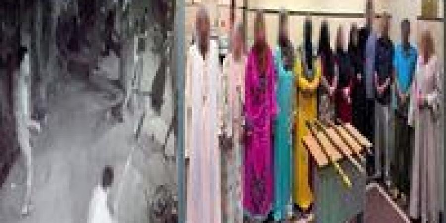 ضبط 12 شخصا بسبب التشاجر بالشوم في دمنهور -  أقرأ 24