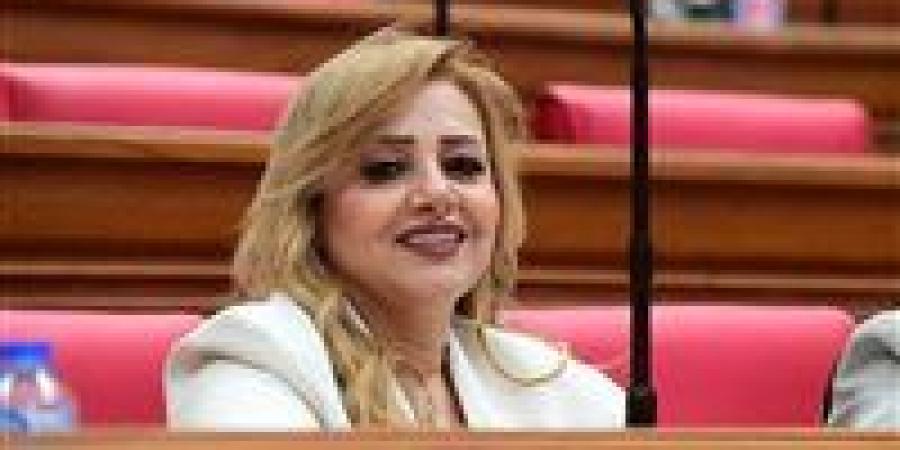 طلب إحاطة للنائبة هبه غالي بشأن خطة الحكومة لحل أزمة أصحاب العدادات الكودية -  أقرأ 24