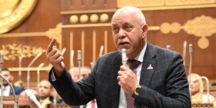 برلماني: توجيهات الرئيس السيسي لتدعيم الشبكة القومية للكهرباء ترسم مستقبلًا جديدًا للطاقة في مصر - أقرأ 24