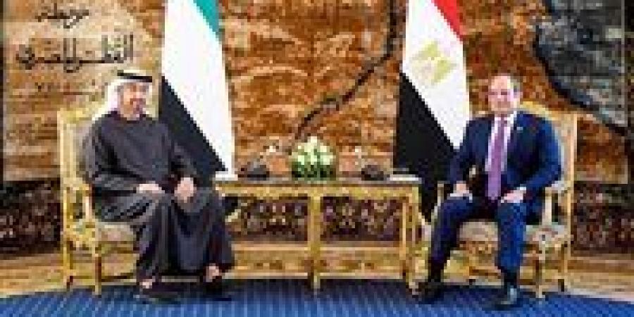 عاجل.. الرئيس السيسي يستقبل الشيخ محمد بن زايد رئيس الإمارات -  أقرأ 24