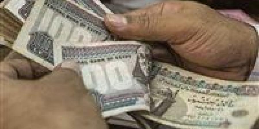 وزارة العمل تعلن 4504 فرص عمل جديدة في 14 محافظة خلال يونيو 2026 -  أقرأ 24