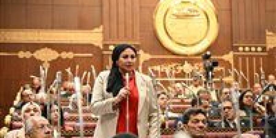 بعد تحرك النائبة شيرين صبري.. تركيب 3 أبراج لتقوية شبكات المحمول بالواحات قبل موعدها ضمن "حياة كريمة" -  أقرأ 24