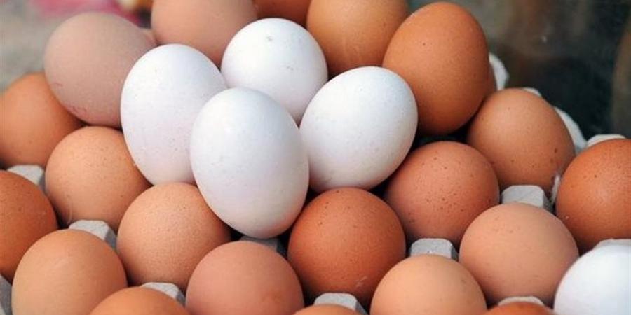 رغم انخفاض السعر وحداثة تاريخ الإنتاج.. مواطن يشكو شراء كرتونة بيض فاسد (فيديو) - أقرأ 24