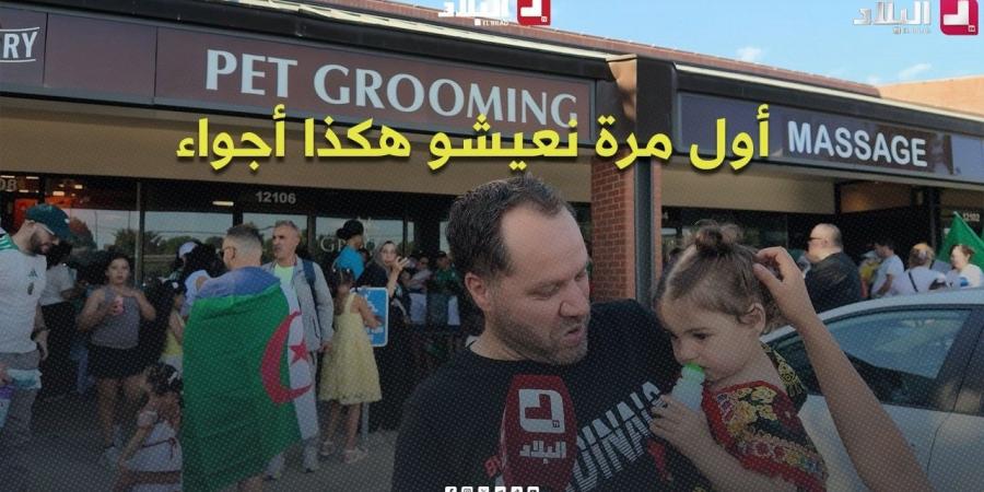 "12 سنة هنا وما شفناش هكذا أجواء.. هذه أول مرة ????????????".. جزائري من الجالية يصف لحظة استثنائية -  أقرأ 24