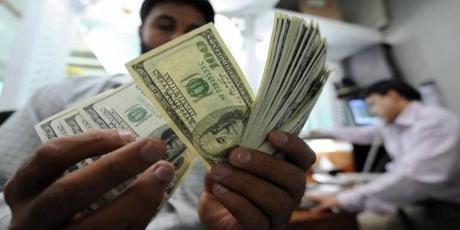 تحويلات العمالة الفلبينية من دول الخليج ترتفع لـ1.97 مليار دولار - أقرأ 24