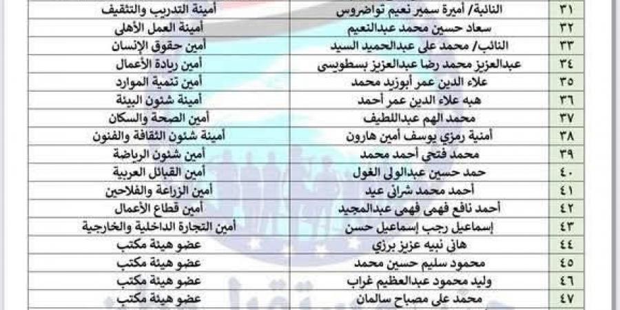 محمد فتحي أمينا لشؤون الرياضة بحزب مستقبل وطن -  أقرأ 24
