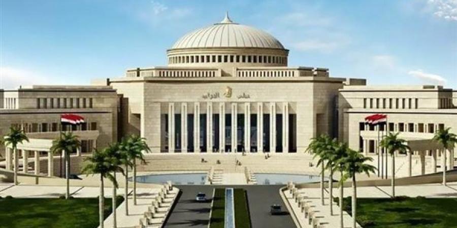 خلال الجلسة.. هشام بدوي لنائب: لست وحدك من جاء بإرادة شعبية - أقرأ 24