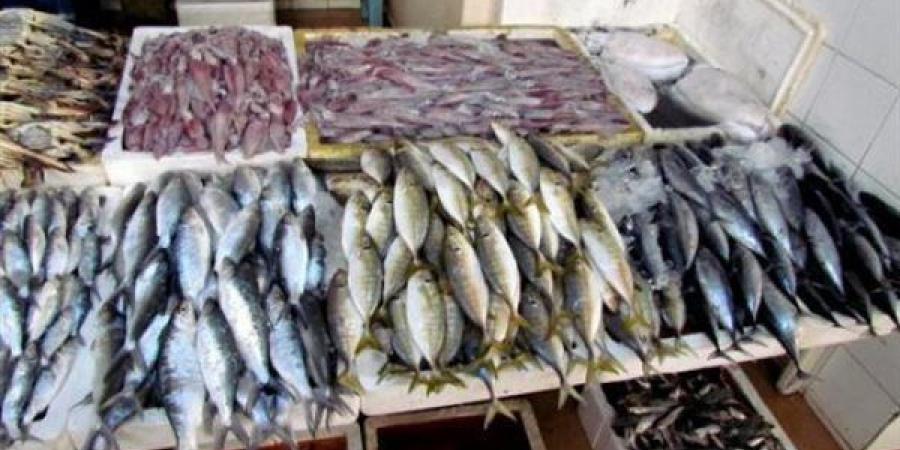 أسعار السمك اليوم فى سوق العبور - أقرأ 24