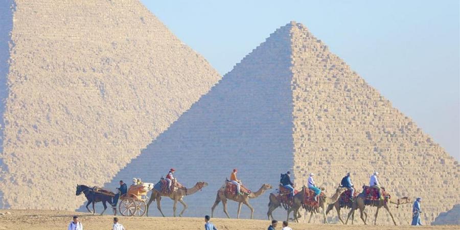 عمرو أبوزيد: إقبال كبير على المقاصد السياحية خلال موسم الصيف - أقرأ 24
