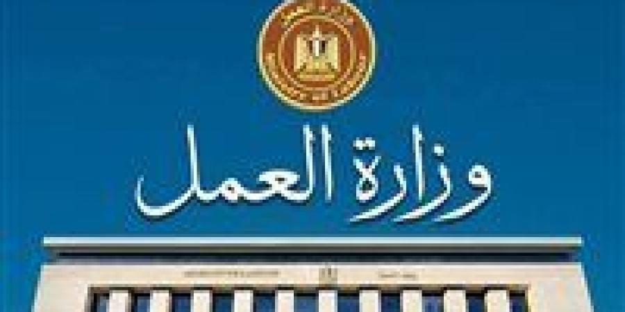 وزارة العمل تعلن عن 85 فرصة عمل بالإسماعيلية من بينها وظائف لذوي الهمم -  أقرأ 24