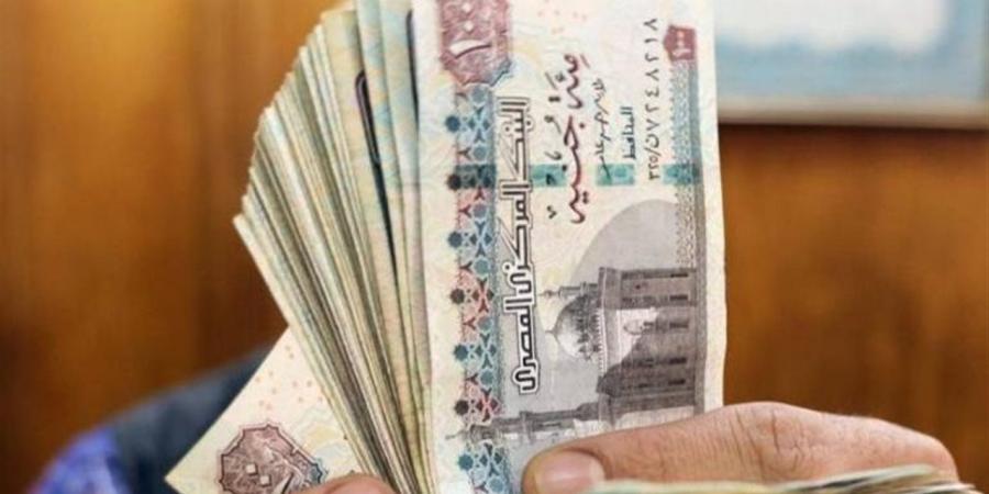 بالرقم القومي.. طريقة معرفة قيمة المعاش في دقائق من المنزل - أقرأ 24