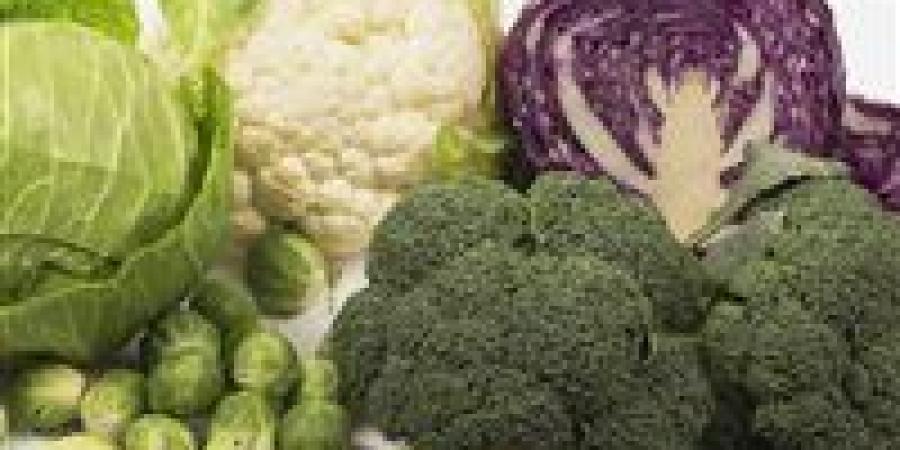 توصيات خبراء: أطعمة هامة تحارب سرطان القولون -  أقرأ 24