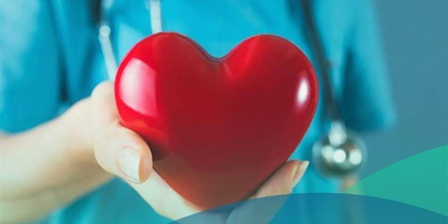 من النبض إلى أدق الأشعة.. فحوصات القلب خطوة بخطوة - أقرأ 24