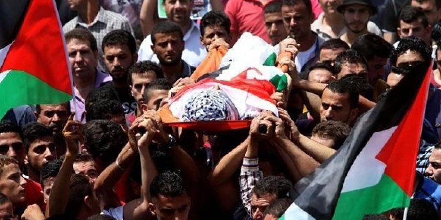 أكثر من ألف شهيد منذ وقف إطلاق النار وانتشال 784 جثماناً - أقرأ 24