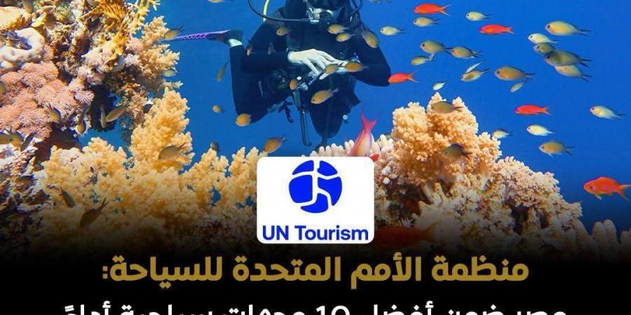 "إعلامي الوزراء": ارتفاع أداء قطاع السياحة المصرية خلال الربع الأول من 2026 - أقرأ 24