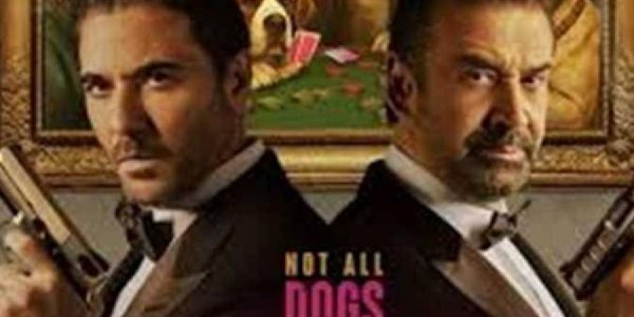 ترتيب إيرادات الأفلام أمس.. فيلم 7 Dogs أولًا والقصص في المركز الأخير -  أقرأ 24