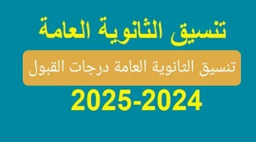 «انطلاقة نحو المستقبل».. محافظة الجيزة تعلن تفاصيل تنسيق القبول بالثانوي العام والفني للعام الدراسي 2024/2025