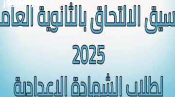 «مستقبل واعد ينتظركم».. الجيزة تفتح أبوابها لتنسيق الثانوية العامة والفنية 2025: دليلك الشامل للتقديم