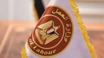 «فرصتك في الأردن» وزير العمل يكشف عن 37 وظيفة براتب 500 دينار والتقديم متاح الآن