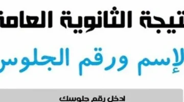 «دقائق وتظهر».. وزارة التربية والتعليم تعلن نتيجة الثانوية العامة 2025 بالاسم ورقم الجلوس