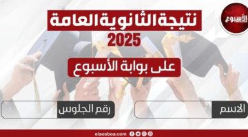 «ترقبوا».. بوابة الأسبوع تتيح نتيجة الثانوية العامة 2025 برقم الجلوس
