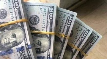 «تحديث لحظي» الدولار يستقر في البنوك المصرية اليوم الأربعاء 23 يوليو 2025