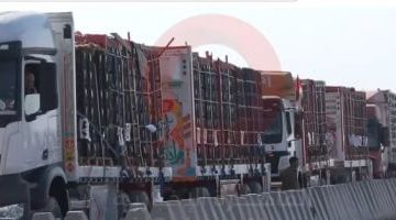 «جهود مصرية مكثفة» مصر تُدخل 70% من مساعدات غزة وتتبنى 3 مسارات حاسمة لدعم الفلسطينيين