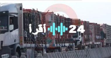 «جهود مصرية مكثفة» مصر تُدخل 70% من مساعدات غزة وتتبنى 3 مسارات حاسمة لدعم الفلسطينيين