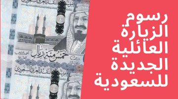 «تحديثات مفاجئة» السعودية تعدل رسوم تأشيرات الزيارة العائلية والشخصية في 1447: نظرة على الرسوم الجديدة، التكاليف، والشروط
