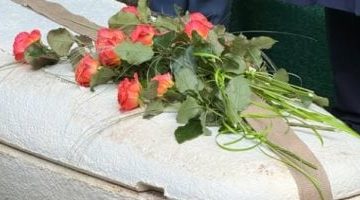 «وداع أخضر» شركة هولندية تُحدث ثورة في عالم الجنائز بنعش صديق للبيئة: اكتشف التكلفة والميزات