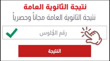 «ترقبوا لحظة الحقيقة» .. خطوات بسيطة لمعرفة نتيجة الثانوية العامة 2025 برقم الجلوس
