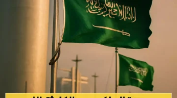 «تحذير بالغ الأهمية» : مخاوف متزايدة من كارثة محتملة في السعودية تدعو إلى الاستعداد العاجل