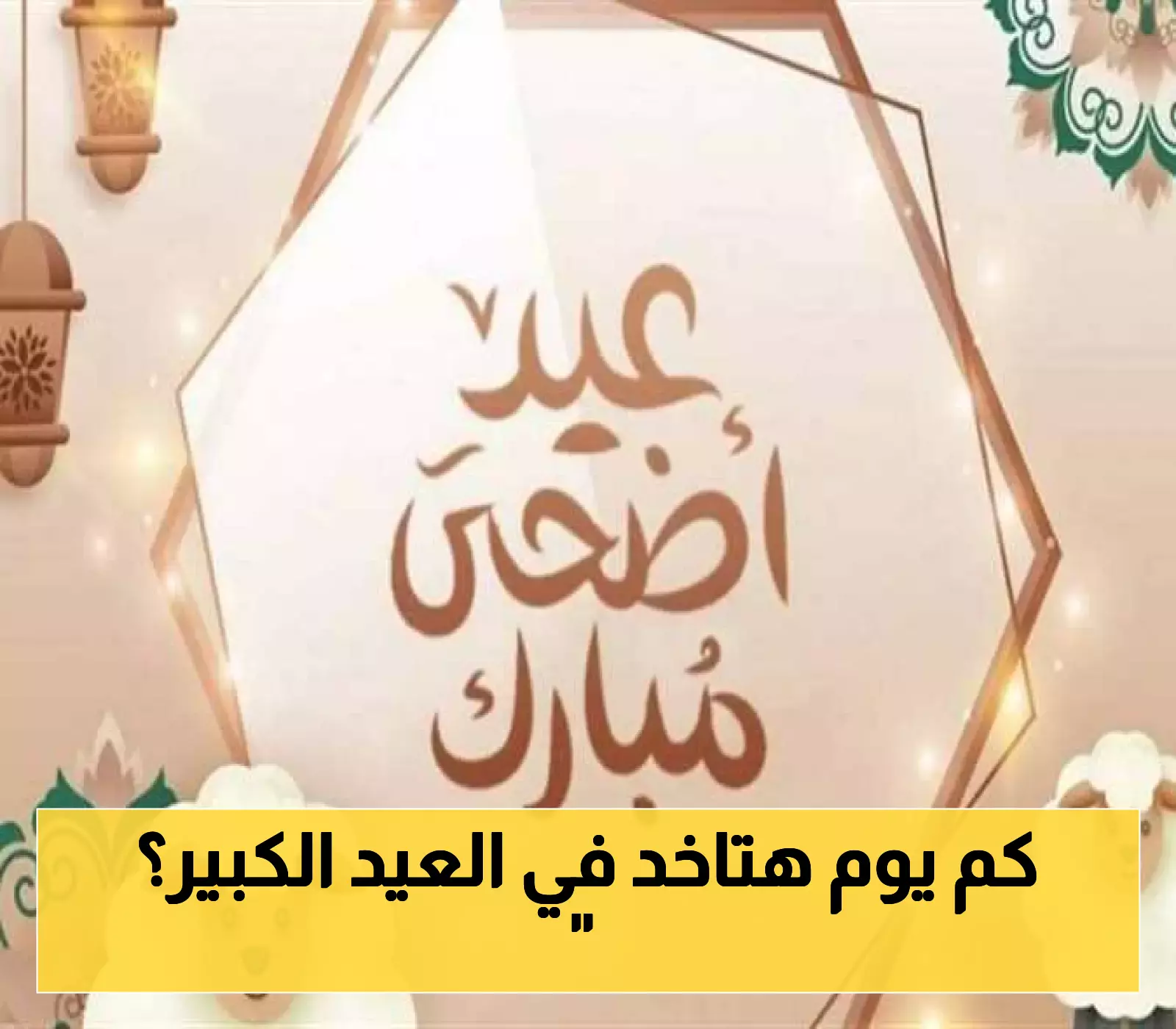 «استعدوا لإجازة مطولة!»: نظرة على أيام عيد الأضحى الرسمية وموعد نهايتها في 2025