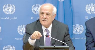 «تقديرًا للدور المحوري» مندوب فلسطين بالأمم المتحدة يثني على مساعي مصر الدؤوبة لوقف إطلاق النار في غزة