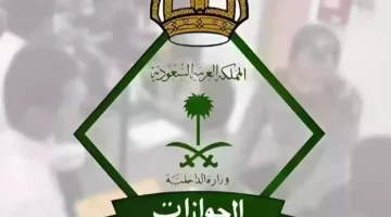 «توفير تاريخي» السعودية تعلن عن الفئات المعفاة من رسوم الحج لعام 1446