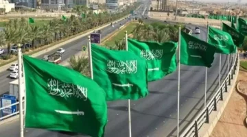 «خطوة نحو المستقبل» دليل شامل للتقاعد المبكر للمعلمين: فرص ومستجدات العام