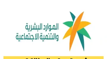 «تحذير حاسم» الموارد البشرية تطلق إنذارًا: وظائف مصيرية تحدد مستقبلك التقاعدي!