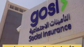 «صدمة وفرحة» نظام التأمينات الجديد يثير الجدل: زيادات تدريجية للأمهات ومنفعة أمومة تاريخية