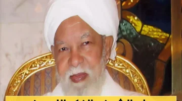 «رحيل مفكر الأصالة والمعاصرة» جعفر شيخ إدريس يرحل تاركًا إرثًا فكريًا فريدًا