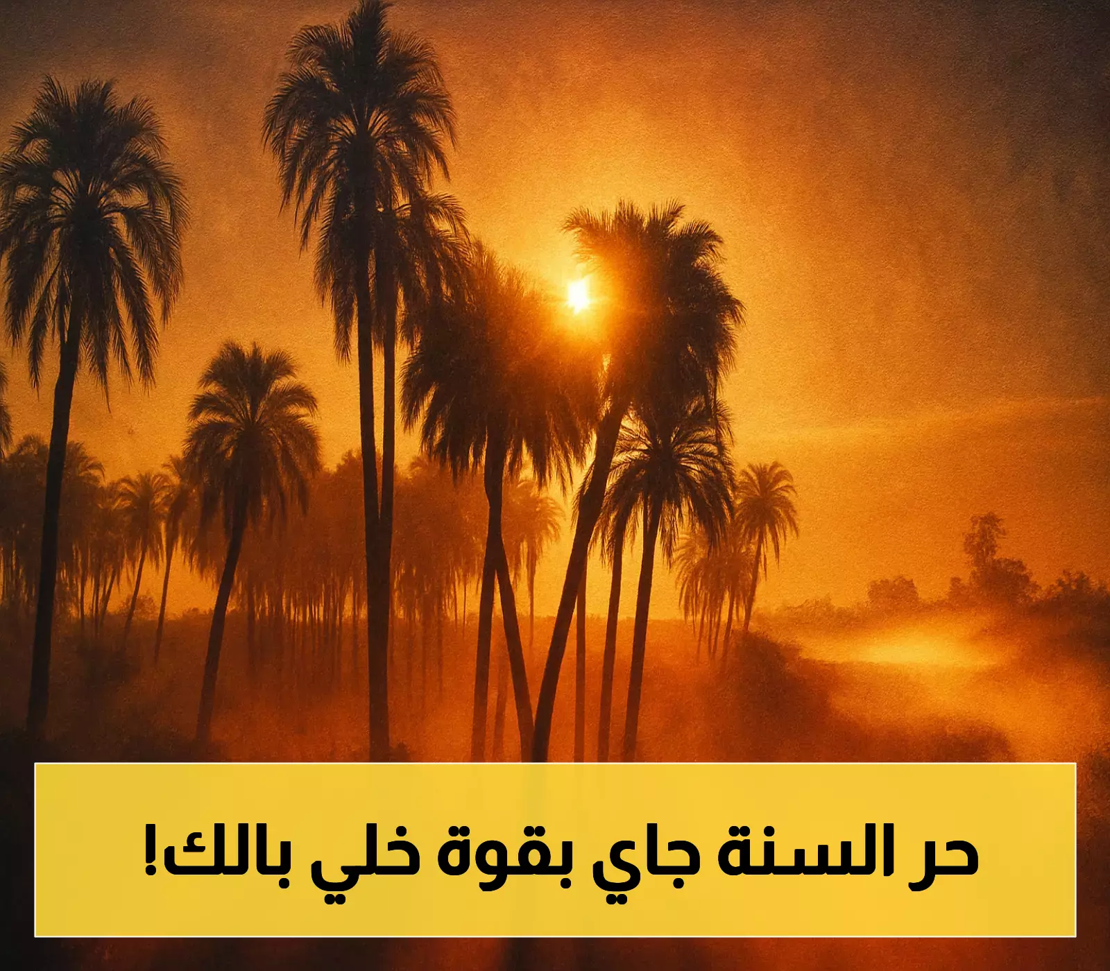 «وداعًا للمكيفات!»: موجة حر قياسية تضرب البلاد لمدة 37 يومًا