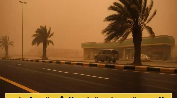 «تحذير جوي» الشرقية تتأهب لموجة حر قاسية و5 مناطق أخرى تواجه عاصفة غبارية الجمعة