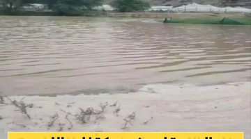 «غير متوقع» زخات البرد تكسو مكة المكرمة في عزّ الصيف.. وتحذيرات للمعتمرين حتى المساء
