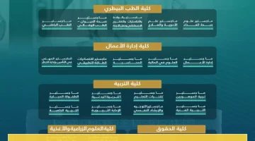«فرصة ذهبية للباحثين» جامعة الملك فيصل تطرح 48 برنامجًا للدراسات العليا وتشمل الدكتوراه في الرياضيات بمنحة كاملة