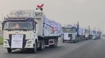 «تقدير للدور المحوري» كاتب فلسطيني يشيد بالدعم المصري التاريخي للقضية الفلسطينية ويثني على جهود الرئيس السيسي