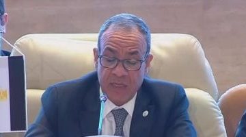 «تحرك مصري» وزير الخارجية يعلن عزم مصر استضافة مؤتمر لإعادة إعمار غزة
