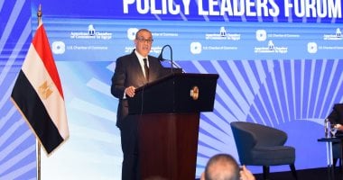 «دعم دولي للسلام» مصر تثمن بيان الـ 25 دولة بشأن الأراضي الفلسطينية المحتلة