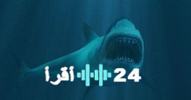 «حقائق صادمة».. اكتشف 5 معلومات مذهلة عن أسماك القرش قد تغير نظرتك إليها، بينها إصابة بعضها بالعمى