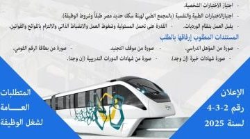 «فرصة ذهبية للمهندسين» تعرف على شروط وأوراق التقديم لوظيفة مشرف محطة بمشروع المونوريل